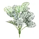 Simulation plant white 18 head white laurel