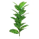 Simulation de plantes 23 feuilles fleur bananier feuille