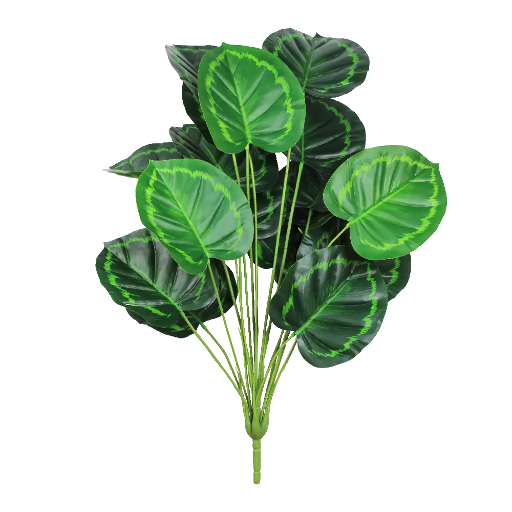 Simulation plant green /18 head love green